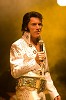 Something For Everyone...Elvis Is Back!